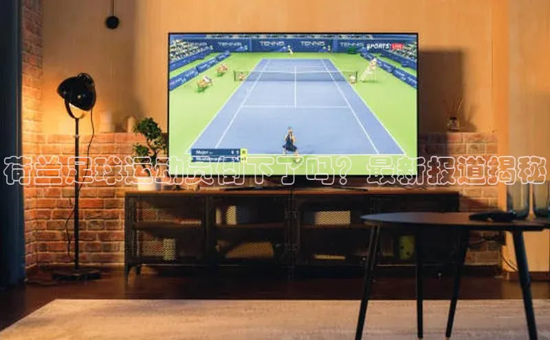 恒行6ARGA公司荷兰足球运动员倒下了吗？最新报道揭秘