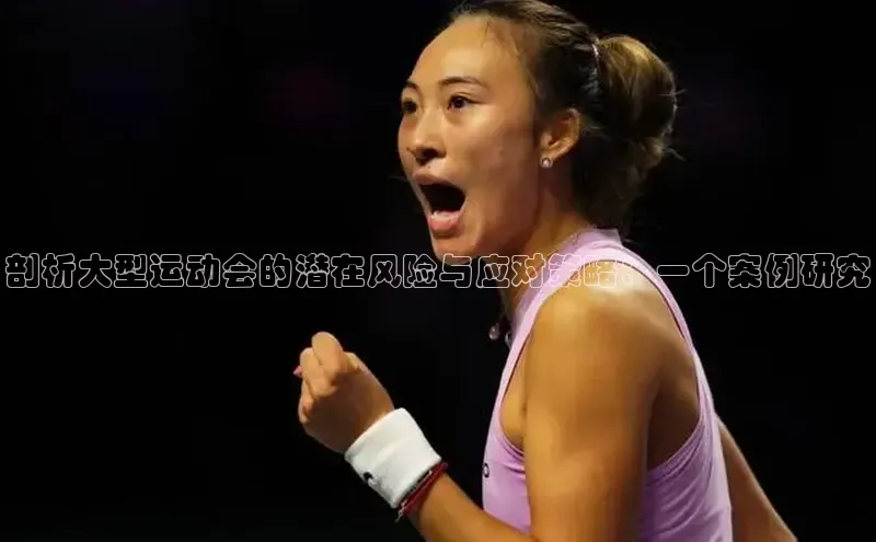 恒行6注册官网入口壹网壹创剖析大型运动会的潜在风险与应对策略：一个案例研究