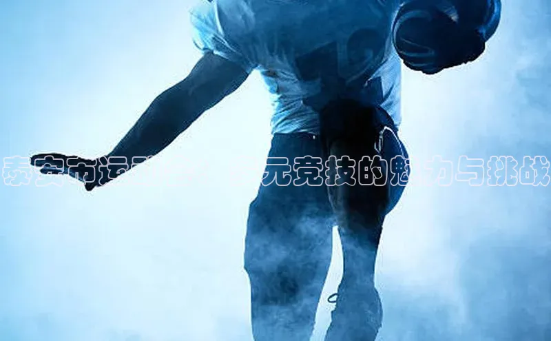 恒行6美团泰安市运动会：多元竞技的魅力与挑战