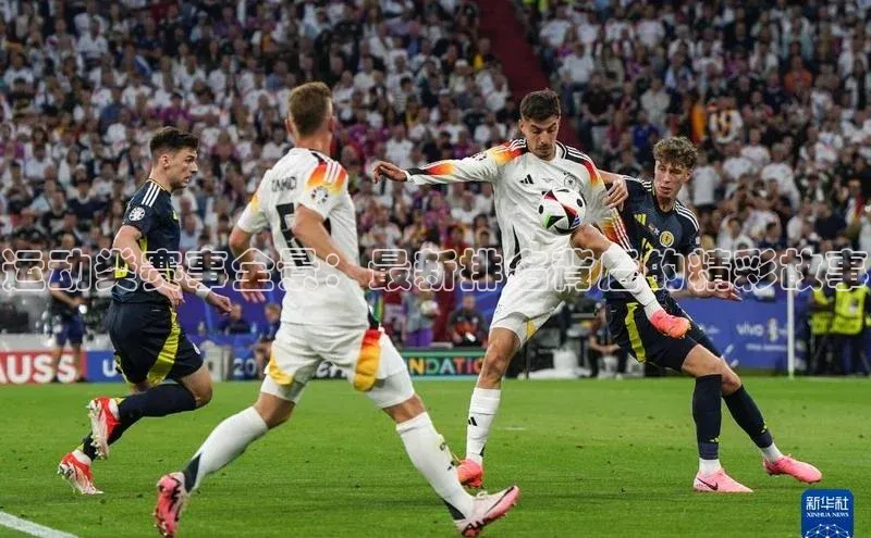 运动类赛事全景：最新排名背后的精彩故事