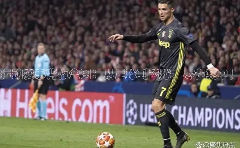 运动赛事背板全图：从足球到篮球，尽在其中！