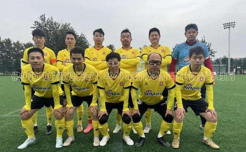 佛山运动的辉煌篇章：2023年游泳赛事中心的精彩时刻