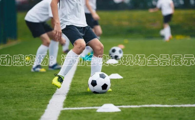 动感赛场：运动会赛事现场全景展示