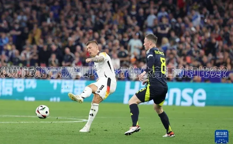 郴州近期有哪些即将举行的体育活动和比赛？