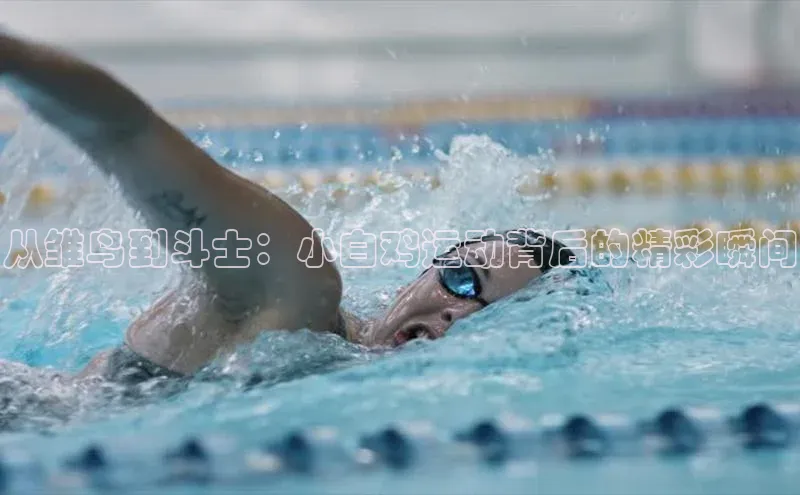 从雏鸟到斗士：小白鸡运动背后的精彩瞬间