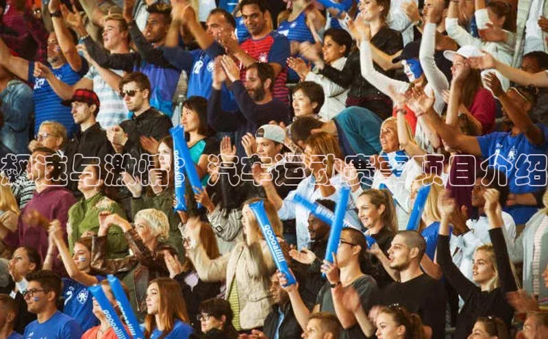 飙速与激情：汽车运动赛事项目介绍