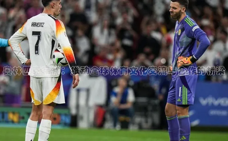 奥林匹克精神：推动全球体育文化交流与合作的桥梁