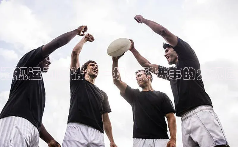 透视运动激情：一场精彩赛事的大观园