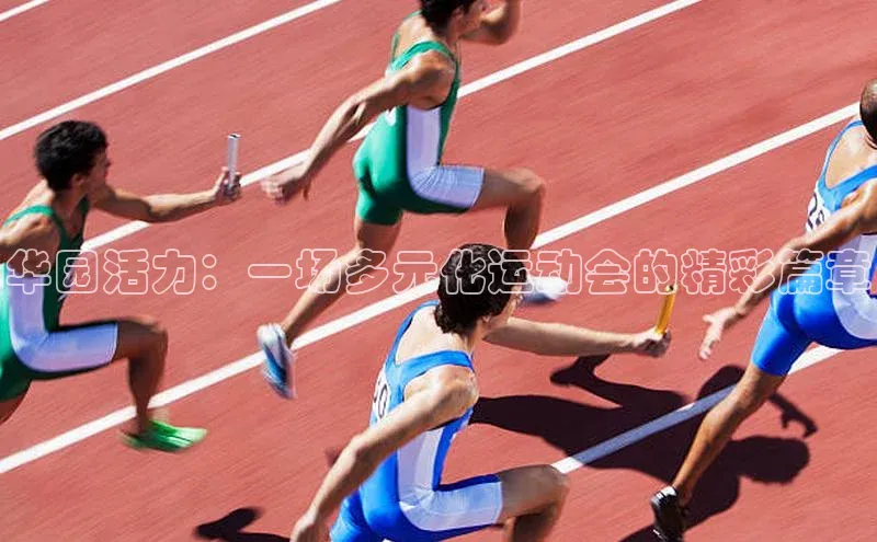 华园活力：一场多元化运动会的精彩篇章