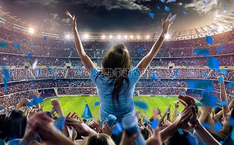 青海健儿风采：2023年跆拳道省运会盛况回顾与展望