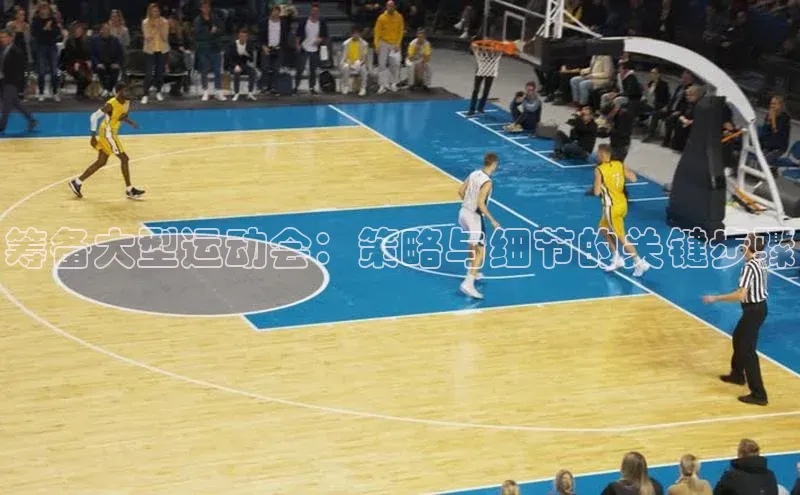 筹备大型运动会：策略与细节的关键步骤