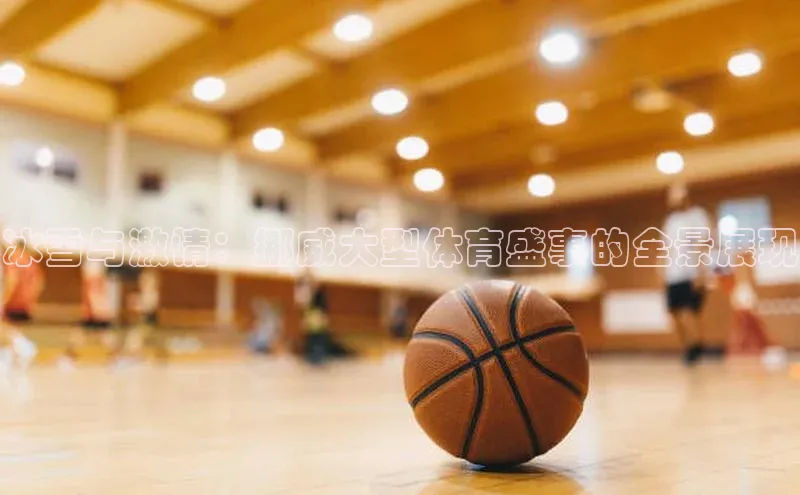 冰雪与激情：挪威大型体育盛事的全景展现