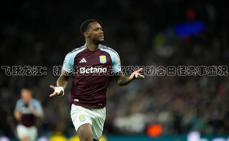 飞跃龙江：精彩绽放的龙江省运动会田径赛事盛况